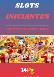 Premium Interface 14Pg